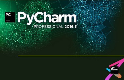 pycharm professional license cost